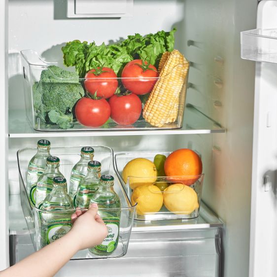 Clear Plastic Storage Box with Handles